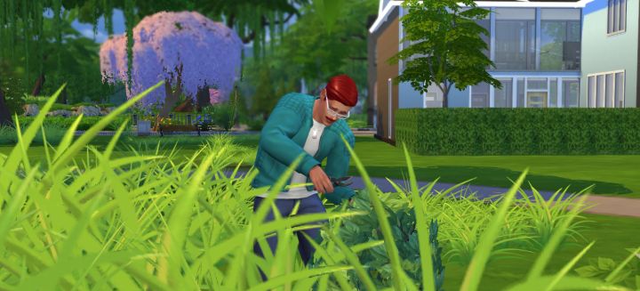 Los Sims 4 toman el corte y el injerto son habilidades útiles para completar una colección de jardín